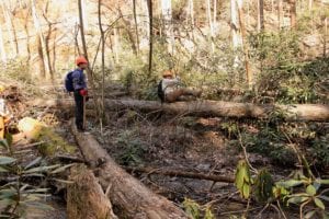 Trail Maintenance