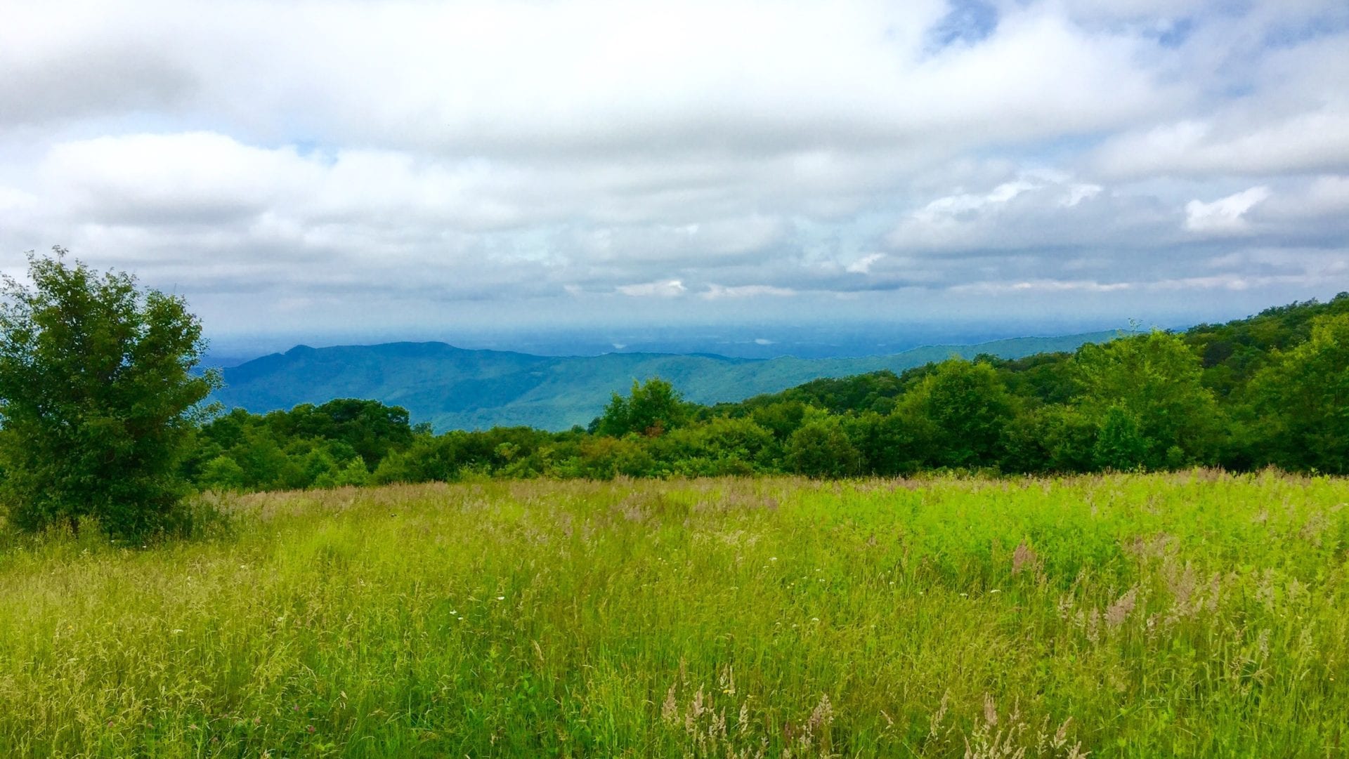 view Whigg Meadow - Benton MacKaye Trail Association