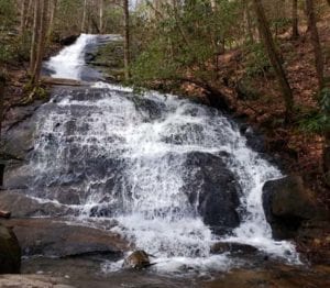 Fall Branch Falls