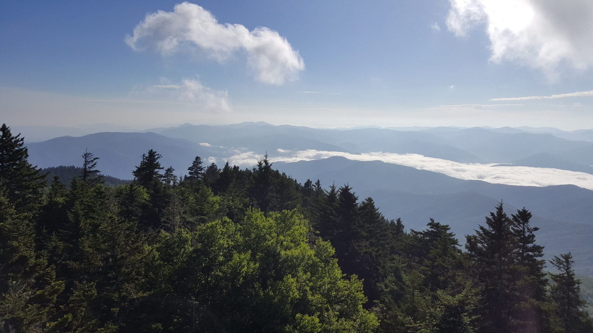 View from observation tower Mt Sterling - Benton MacKaye Trail Association