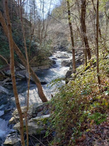 163397635_10158151305733932_9020836170490395744_n