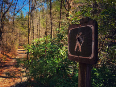 trail beautiful 4