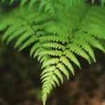 IMG_20180803_073335_501