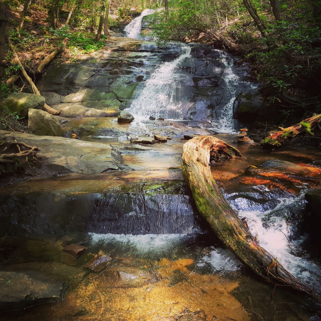 IMG_20170611_180116_282