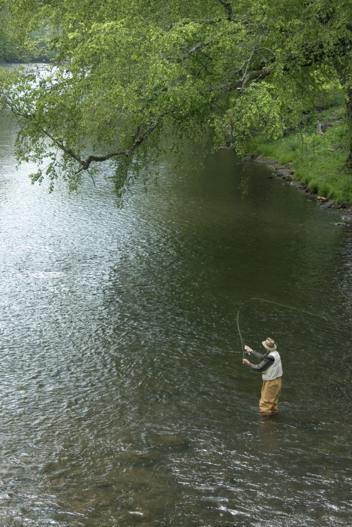 Bryson-City-NC-Tuckasegee-River-Ela-Fisherman
