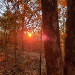 20191101_184322 20191101_184322