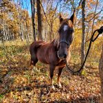 20191102_101352 20191102_101352