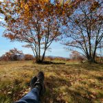 20221016_114153 20221016_114153