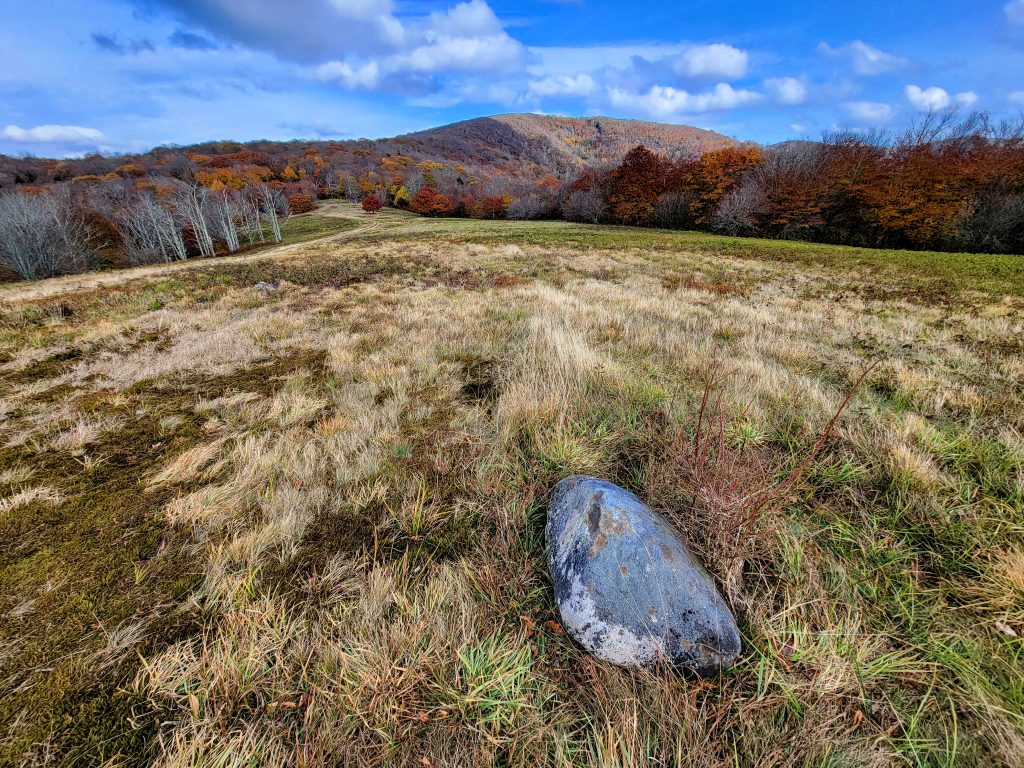 20221016_163016-EDIT