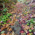 20221017_112756 20221017_112756