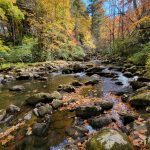 20221017_124519 20221017_124519