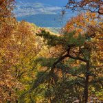 20221018_170459 20221018_170459