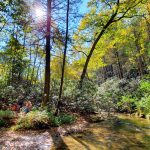 20201016_143308 20201016_143308