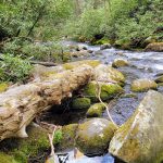 20250430_112948 20250430_112948