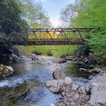 20250505_070318 20250505_070318