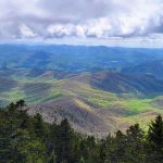 20250506_110516 20250506_110516