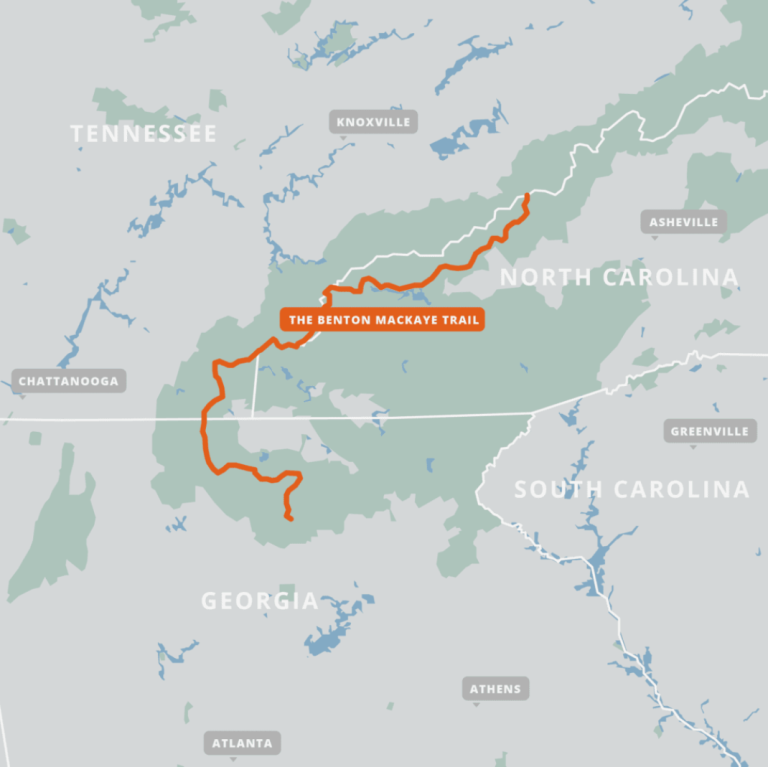 Screenshot 2026-02-01 091805