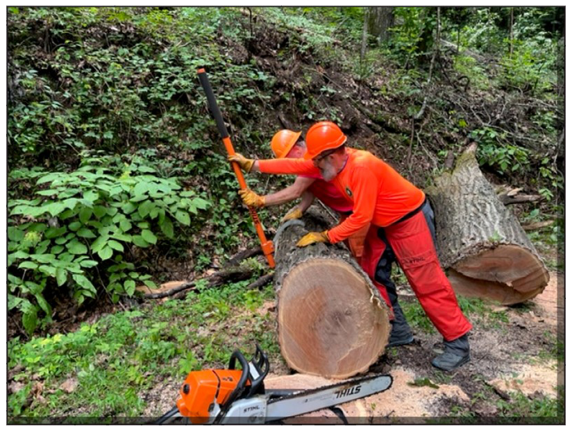 Moving-the-Log