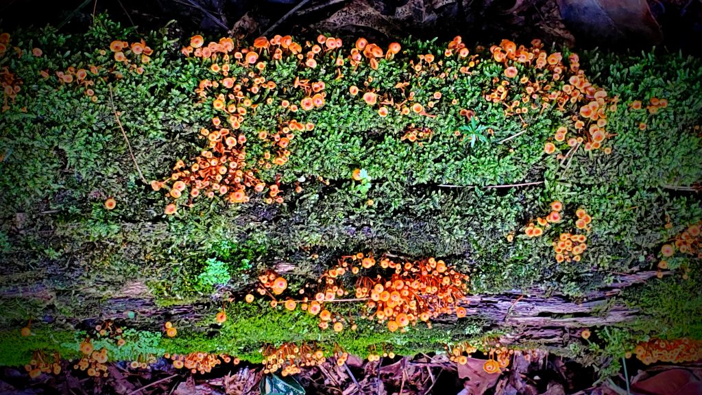 20200830_125704
